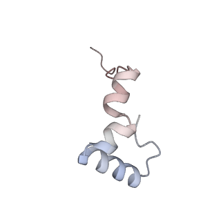 3553_5mrf_Y_v1-3
Structure of the yeast mitochondrial ribosome - Class C