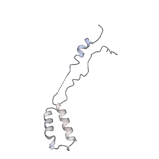 3553_5mrf_ZZ_v1-3
Structure of the yeast mitochondrial ribosome - Class C