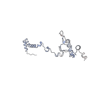 3553_5mrf_b_v1-3
Structure of the yeast mitochondrial ribosome - Class C