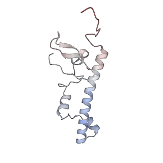 3553_5mrf_c_v1-3
Structure of the yeast mitochondrial ribosome - Class C