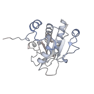3553_5mrf_d_v1-3
Structure of the yeast mitochondrial ribosome - Class C