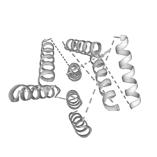 3553_5mrf_dd_v1-3
Structure of the yeast mitochondrial ribosome - Class C