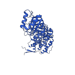 9195_6mrc_A_v1-2
ADP-bound human mitochondrial Hsp60-Hsp10 football complex