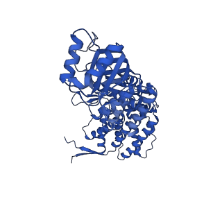 9195_6mrc_A_v1-3
ADP-bound human mitochondrial Hsp60-Hsp10 football complex