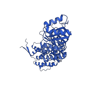 9195_6mrc_B_v1-2
ADP-bound human mitochondrial Hsp60-Hsp10 football complex