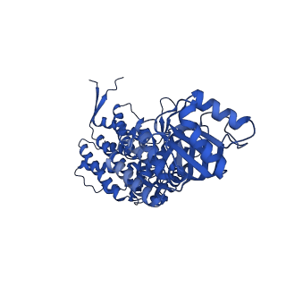 9195_6mrc_C_v1-2
ADP-bound human mitochondrial Hsp60-Hsp10 football complex