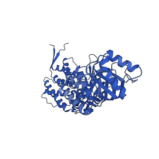 9195_6mrc_C_v1-3
ADP-bound human mitochondrial Hsp60-Hsp10 football complex