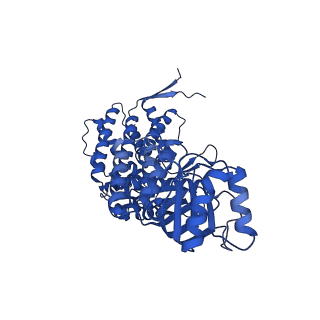 9195_6mrc_D_v1-2
ADP-bound human mitochondrial Hsp60-Hsp10 football complex