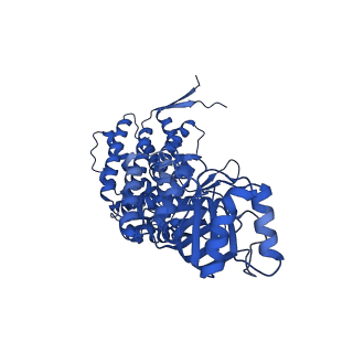 9195_6mrc_D_v1-3
ADP-bound human mitochondrial Hsp60-Hsp10 football complex