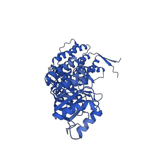 9195_6mrc_E_v1-2
ADP-bound human mitochondrial Hsp60-Hsp10 football complex