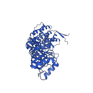 9195_6mrc_E_v1-3
ADP-bound human mitochondrial Hsp60-Hsp10 football complex