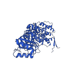 9195_6mrc_F_v1-3
ADP-bound human mitochondrial Hsp60-Hsp10 football complex