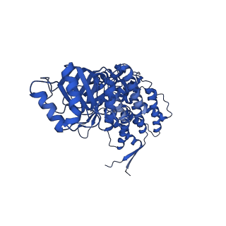 9195_6mrc_G_v1-2
ADP-bound human mitochondrial Hsp60-Hsp10 football complex