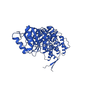 9195_6mrc_G_v1-3
ADP-bound human mitochondrial Hsp60-Hsp10 football complex