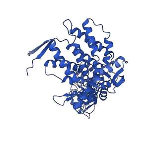 9195_6mrc_H_v1-2
ADP-bound human mitochondrial Hsp60-Hsp10 football complex