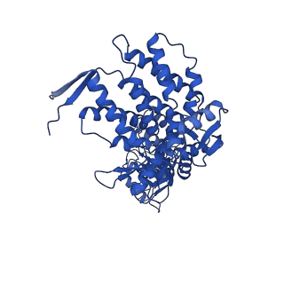 9195_6mrc_H_v1-3
ADP-bound human mitochondrial Hsp60-Hsp10 football complex