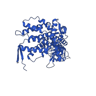 9195_6mrc_I_v1-2
ADP-bound human mitochondrial Hsp60-Hsp10 football complex
