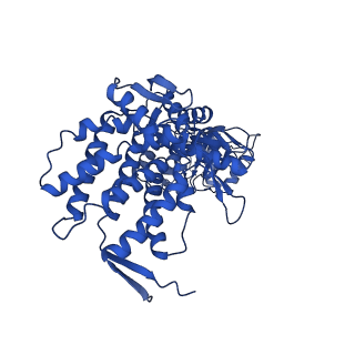 9195_6mrc_J_v1-3
ADP-bound human mitochondrial Hsp60-Hsp10 football complex