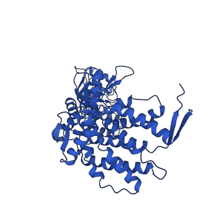 9195_6mrc_L_v1-2
ADP-bound human mitochondrial Hsp60-Hsp10 football complex