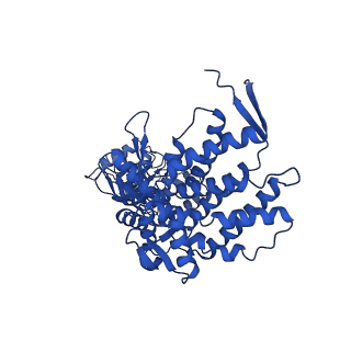 9195_6mrc_M_v1-2
ADP-bound human mitochondrial Hsp60-Hsp10 football complex