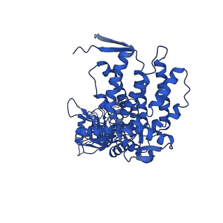 9195_6mrc_N_v1-2
ADP-bound human mitochondrial Hsp60-Hsp10 football complex