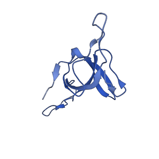 9195_6mrc_R_v1-2
ADP-bound human mitochondrial Hsp60-Hsp10 football complex