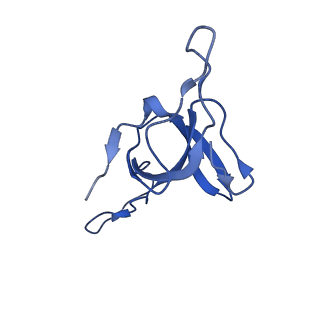 9195_6mrc_R_v1-3
ADP-bound human mitochondrial Hsp60-Hsp10 football complex