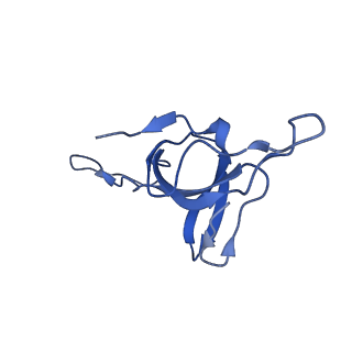 9195_6mrc_S_v1-3
ADP-bound human mitochondrial Hsp60-Hsp10 football complex