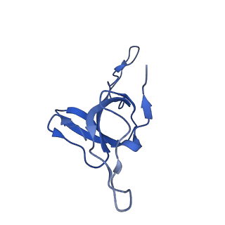 9195_6mrc_U_v1-3
ADP-bound human mitochondrial Hsp60-Hsp10 football complex