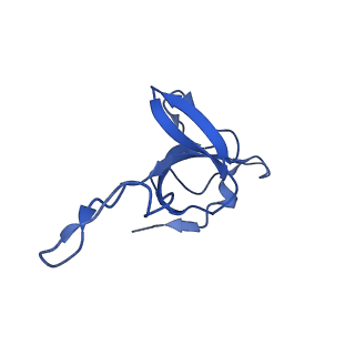 9195_6mrc_Z_v1-3
ADP-bound human mitochondrial Hsp60-Hsp10 football complex