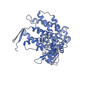9196_6mrd_A_v1-2
ADP-bound human mitochondrial Hsp60-Hsp10 half-football complex