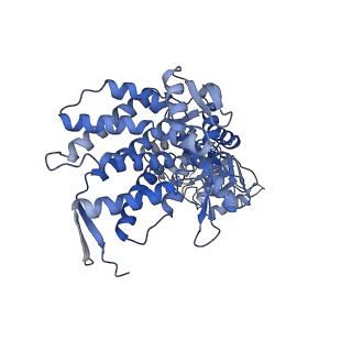 9196_6mrd_B_v1-2
ADP-bound human mitochondrial Hsp60-Hsp10 half-football complex