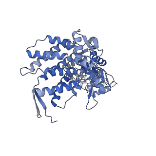 9196_6mrd_B_v1-3
ADP-bound human mitochondrial Hsp60-Hsp10 half-football complex