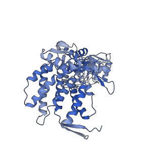 9196_6mrd_C_v1-2
ADP-bound human mitochondrial Hsp60-Hsp10 half-football complex