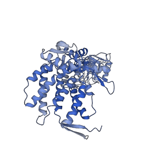 9196_6mrd_C_v1-3
ADP-bound human mitochondrial Hsp60-Hsp10 half-football complex