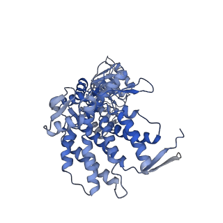 9196_6mrd_D_v1-2
ADP-bound human mitochondrial Hsp60-Hsp10 half-football complex