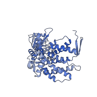 9196_6mrd_E_v1-2
ADP-bound human mitochondrial Hsp60-Hsp10 half-football complex