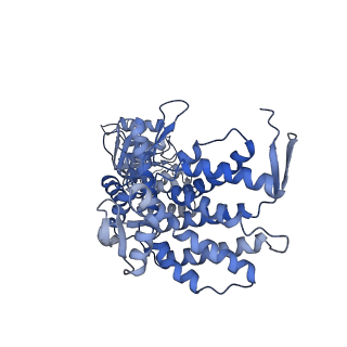 9196_6mrd_E_v1-3
ADP-bound human mitochondrial Hsp60-Hsp10 half-football complex