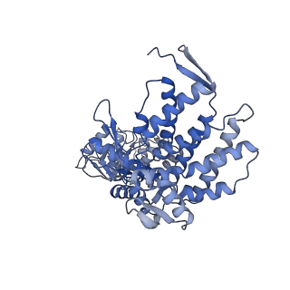 9196_6mrd_F_v1-2
ADP-bound human mitochondrial Hsp60-Hsp10 half-football complex