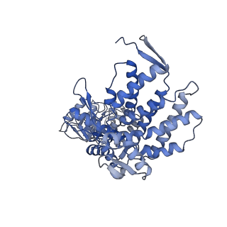 9196_6mrd_F_v1-3
ADP-bound human mitochondrial Hsp60-Hsp10 half-football complex