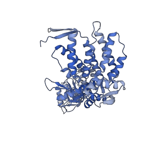 9196_6mrd_G_v1-2
ADP-bound human mitochondrial Hsp60-Hsp10 half-football complex
