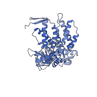 9196_6mrd_G_v1-3
ADP-bound human mitochondrial Hsp60-Hsp10 half-football complex