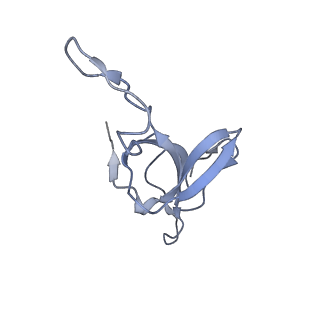 9196_6mrd_Q_v1-2
ADP-bound human mitochondrial Hsp60-Hsp10 half-football complex