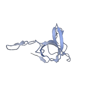 9196_6mrd_R_v1-2
ADP-bound human mitochondrial Hsp60-Hsp10 half-football complex