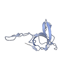 9196_6mrd_R_v1-3
ADP-bound human mitochondrial Hsp60-Hsp10 half-football complex