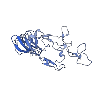 23969_7msm_C_v1-0
Mtb 70SIC in complex with MtbEttA at Trans_R0 state