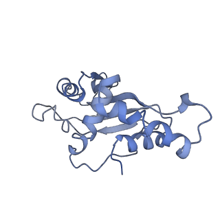 23969_7msm_F_v1-0
Mtb 70SIC in complex with MtbEttA at Trans_R0 state
