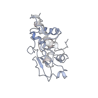 23969_7msm_d_v1-0
Mtb 70SIC in complex with MtbEttA at Trans_R0 state