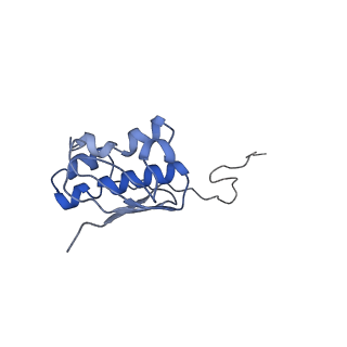 23969_7msm_i_v1-0
Mtb 70SIC in complex with MtbEttA at Trans_R0 state