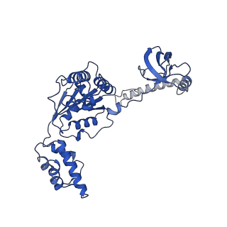 9216_6msb_B_v1-3
Cryo-EM structures and dynamics of substrate-engaged human 26S proteasome